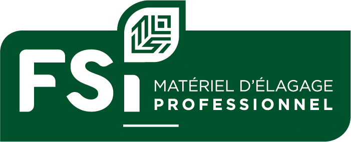 fsi