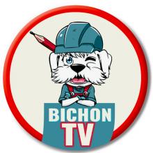 Logo Bichon Production 