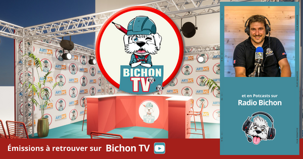 Bichon TV